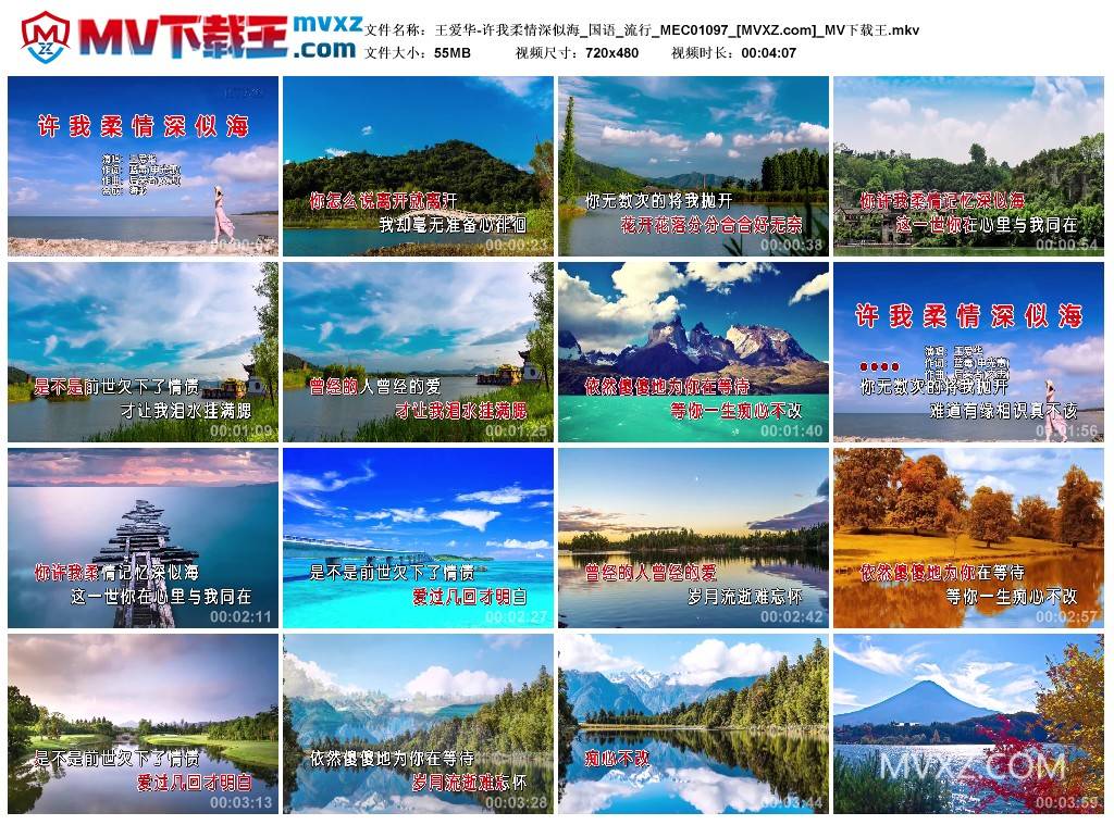 王爱华-许我柔情深似海_国语_流行_MEC01097